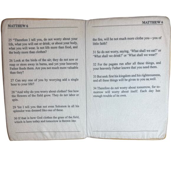 Feta Bible Pillow Matthew 6:25-34 - Picture 2 of 5